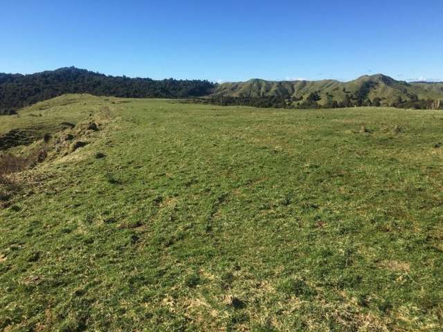 1427 Waitaanga Road Ohura_1