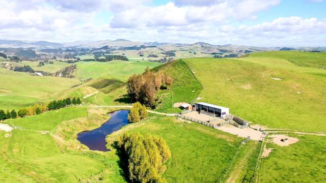 49 Tuturewa Road Rangitikei Surrounds_2