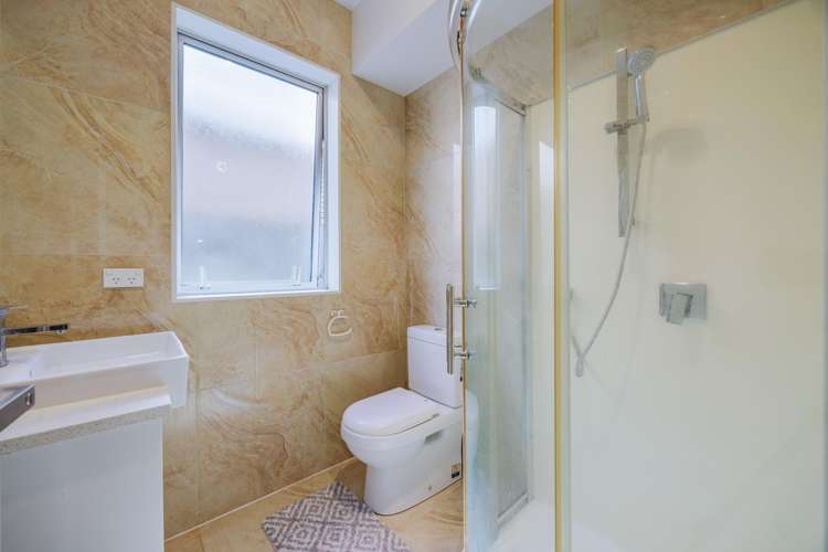 10 Helianthus Avenue Flat Bush_11