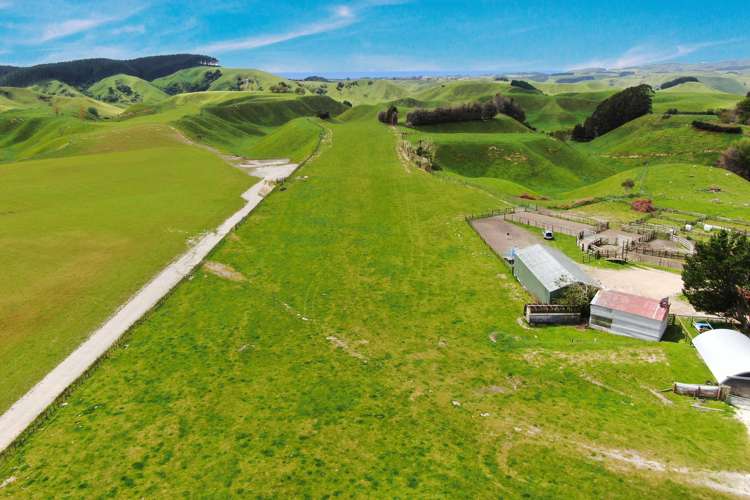 166 Airstrip Road Pikowai_10