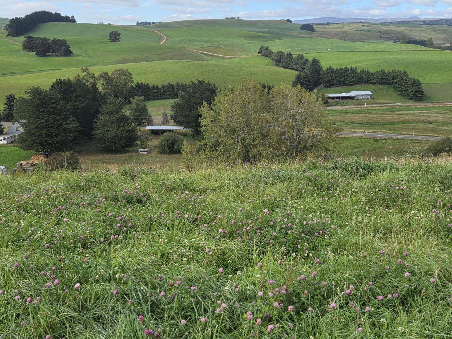 22 Tokarahi-Duntroon Road Tokarahi_0