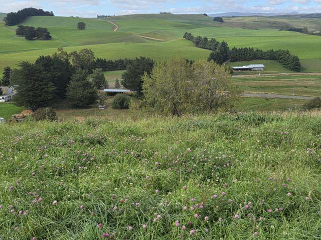 Turnkey Rural Dairy Support Opportunity