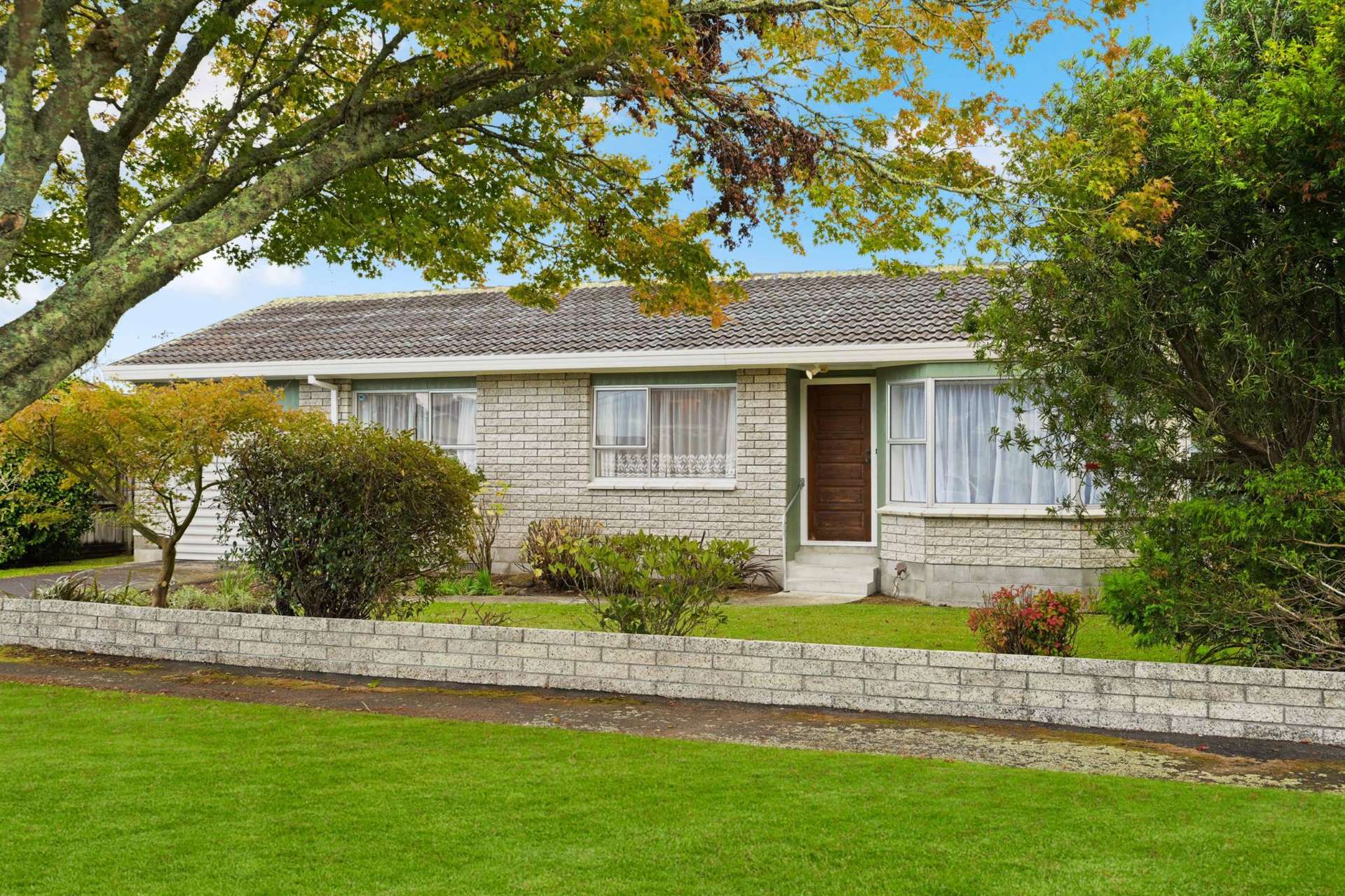 15 Bains Avenue Hamilton East_0