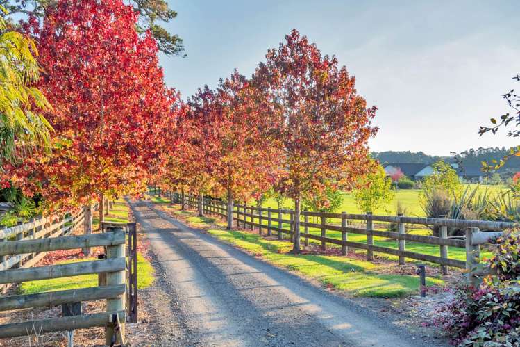 1041 Old North Road Waimauku_54