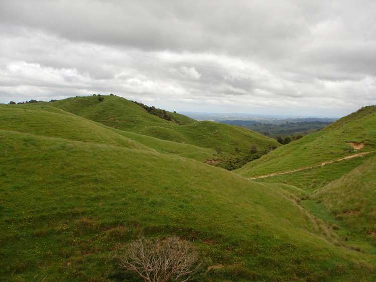 Mahoe Road Waitomo_6