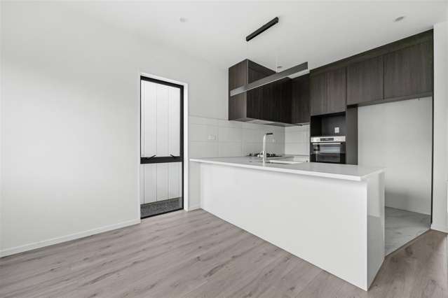 65 Kairākau Street Papakura_1