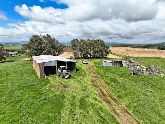 143 Waimanu Road Te Awamutu_2
