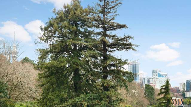 19 Aorere Street Parnell_2