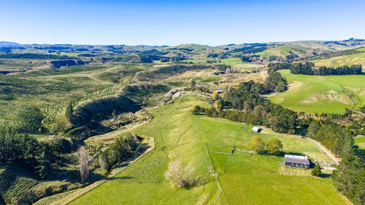 254 Wilder Road Porangahau_24