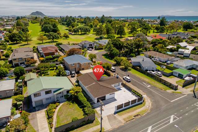 47a Concord Avenue Mount Maunganui_1