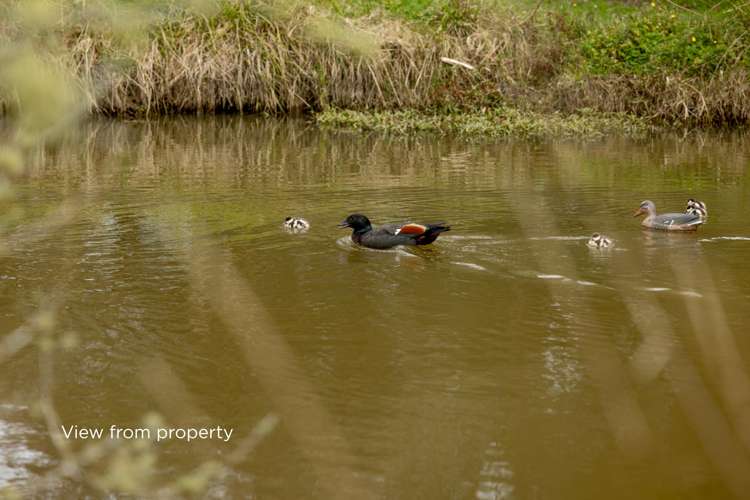 263 Sunnyside Road Coatesville_11