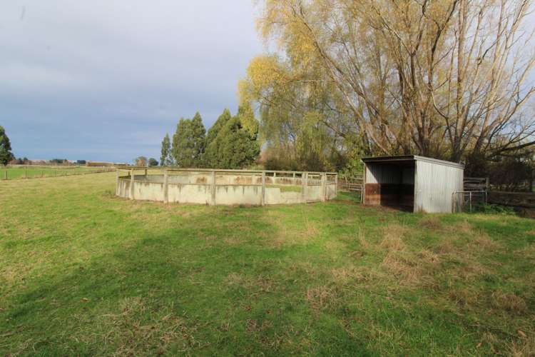 61 Moore Road Winton_5