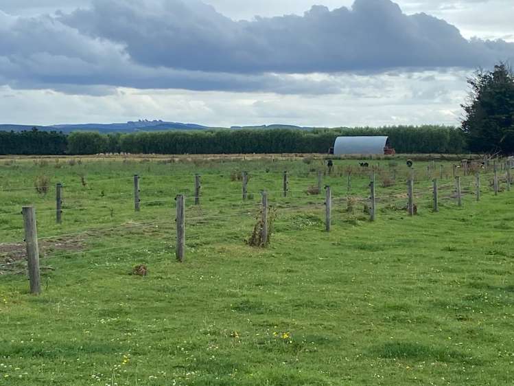 137 and 179 Kirks Drain Road Momona_19