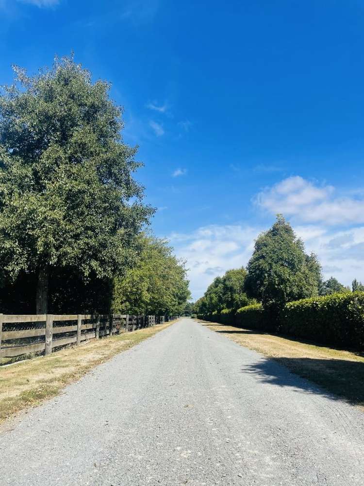 41 Marshs Road Templeton_17