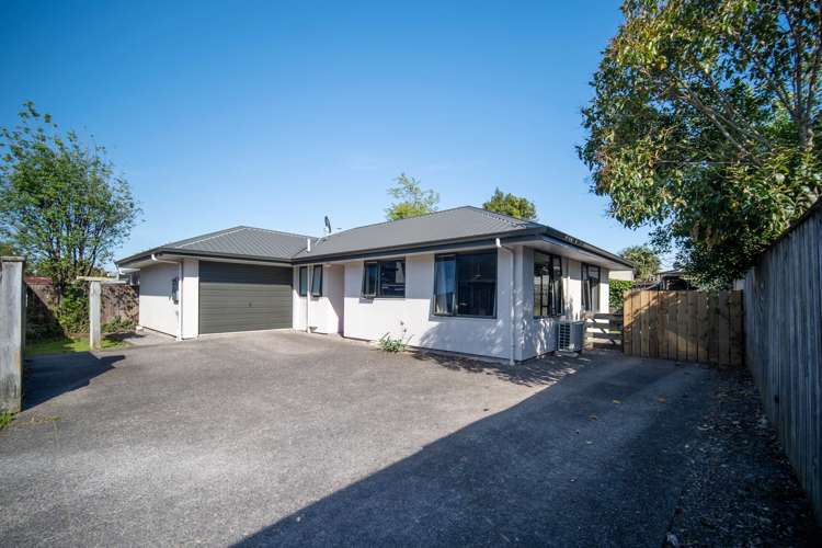 20a Palm Avenue Stoke_14