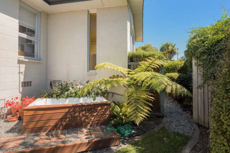 217 Howick Road Witherlea_7