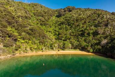 Cherry Bay, Ruakaka Bay_4