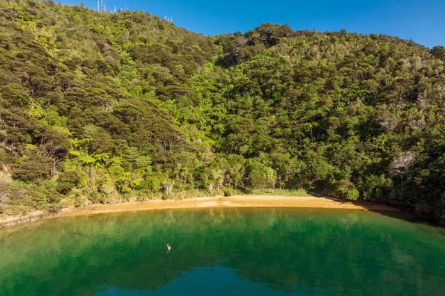 Cherry Bay, Ruakaka Bay Marlborough Sounds_3