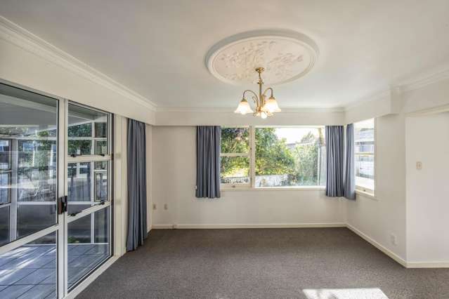 292 Park Road Hokowhitu_3