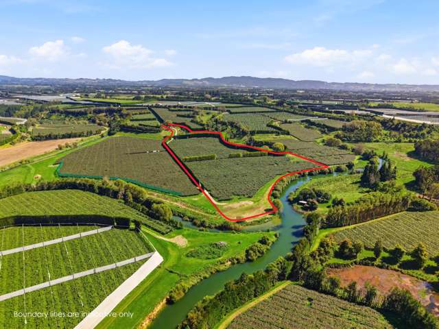 Hayward orchard investment