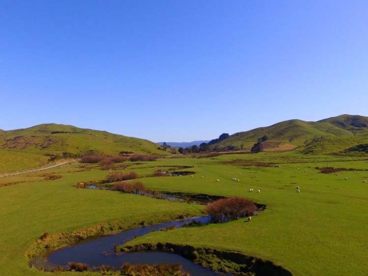 84579 State Highway 2 Eketahuna_6