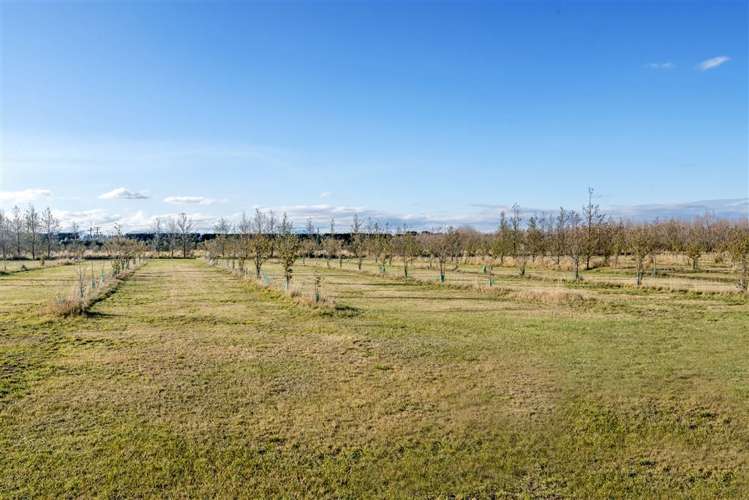 2299 South Eyre Road West Eyreton_16