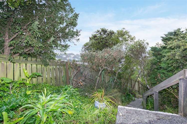 4 Hoggard Street Vogeltown_17