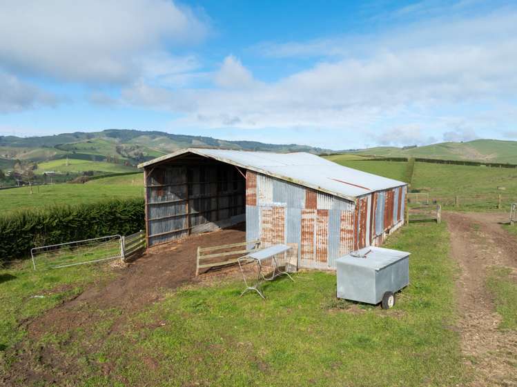 376 Starkey Road Morrinsville_12