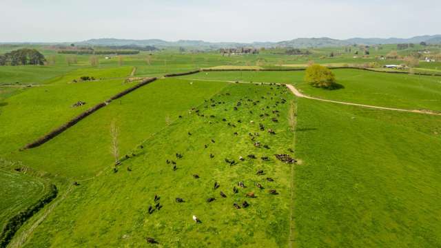 62 Seafund Road Te Awamutu_2