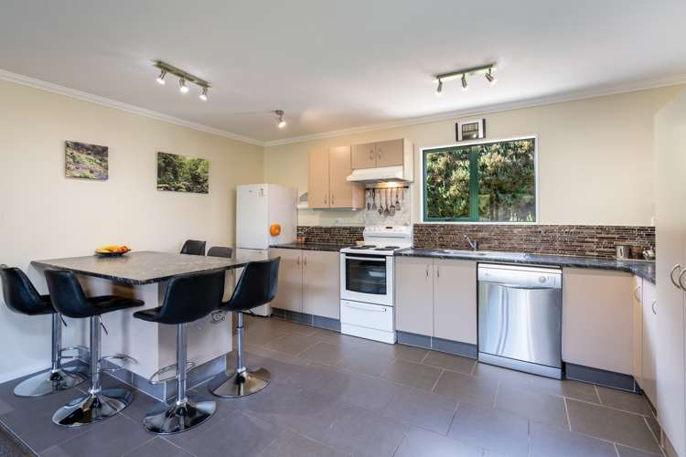 97 Hillary Street Liberton_8