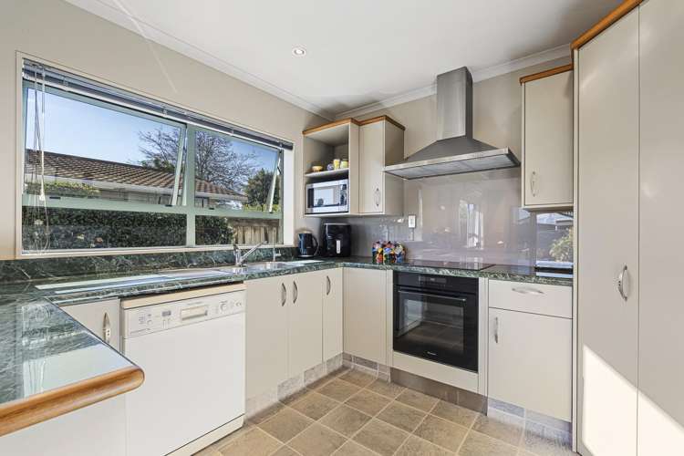 153A Carrington Street Vogeltown_13