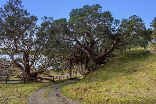 107 Ohiwa Loop Road Opotiki and Surrounds_2