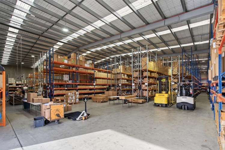 2 Dalziel Place Hillsborough_5