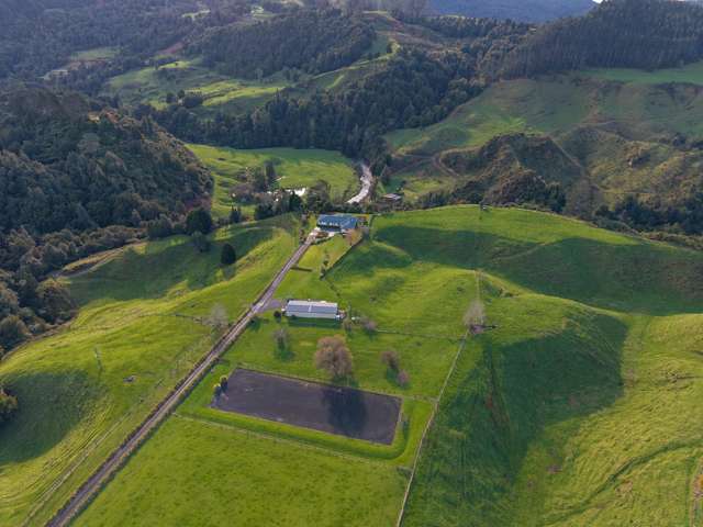 1022b No 3 Road Te Puke_1