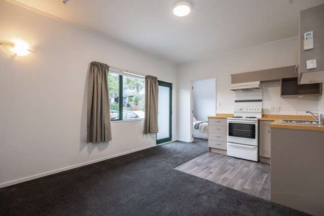 99 Redwood Avenue Tawa_3