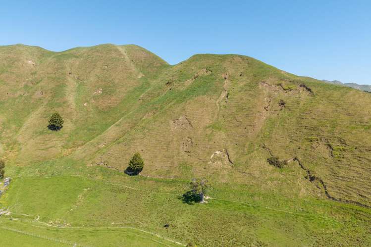 542 Otaki Gorge Road Te Horo_28