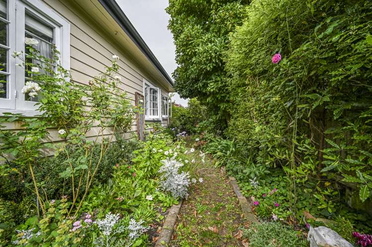 623a Nelson Street North Hastings_12