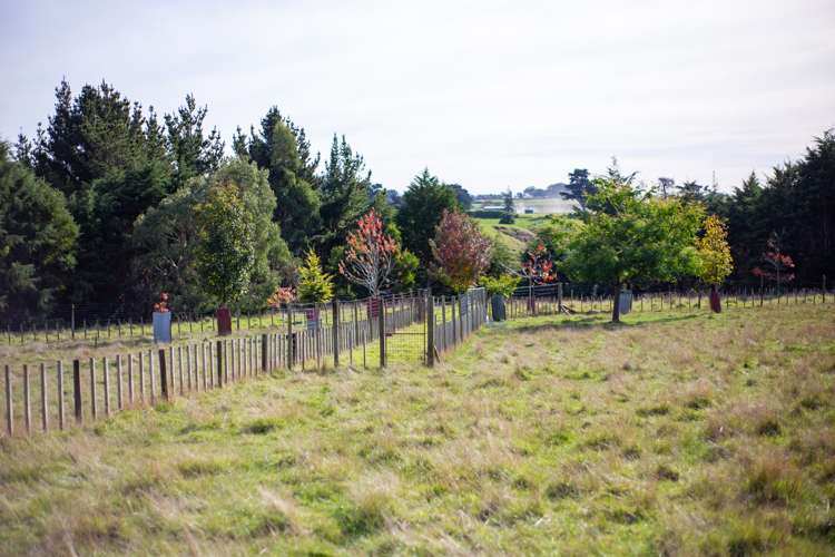 1204j State Highway 3 Kai Iwi_9