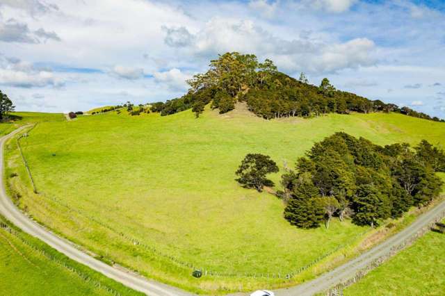 1188e Tinopai Road Tinopai_3