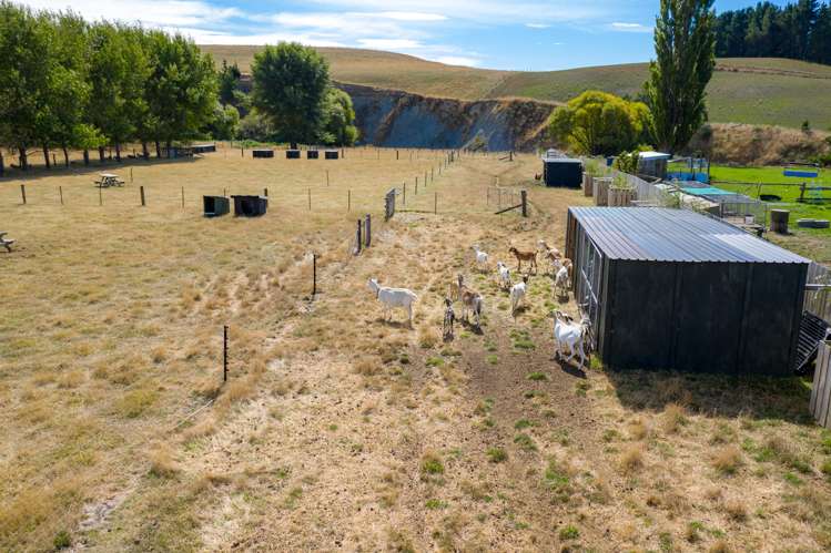 157 Seddon Street Ward_8