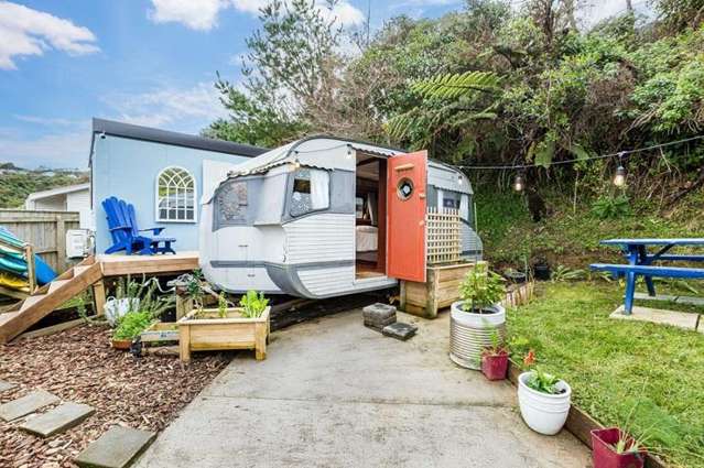 Lovebirds’ 18sqm stunner: Tiny Wellington home sells for $310,000