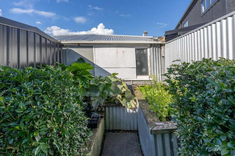 3/2C Valley Road Mount Eden_11