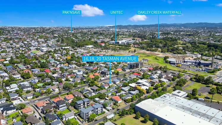 16 Tasman Avenue Mount Albert_18