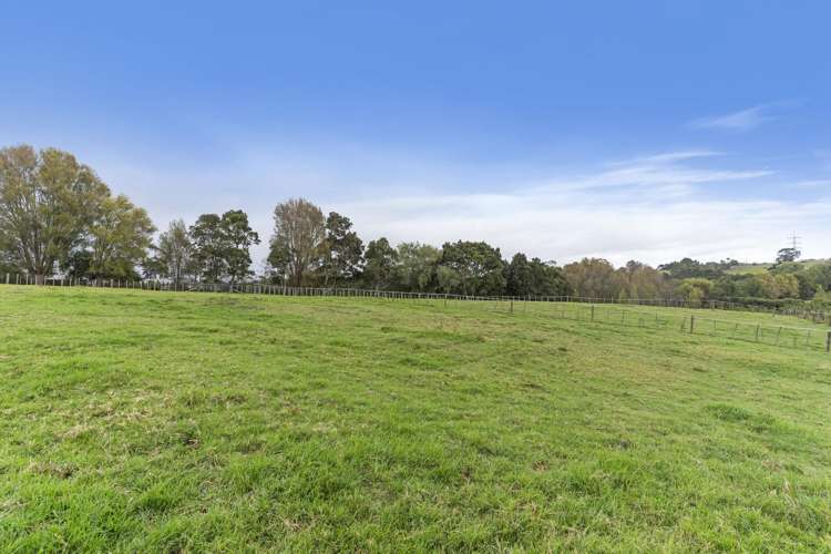 48 Follies Way Dairy Flat_6