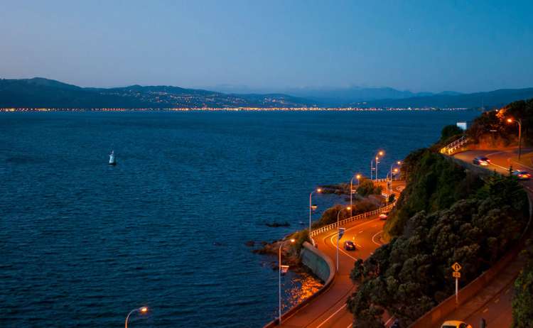 8 Carlton Gore Road Roseneath_15