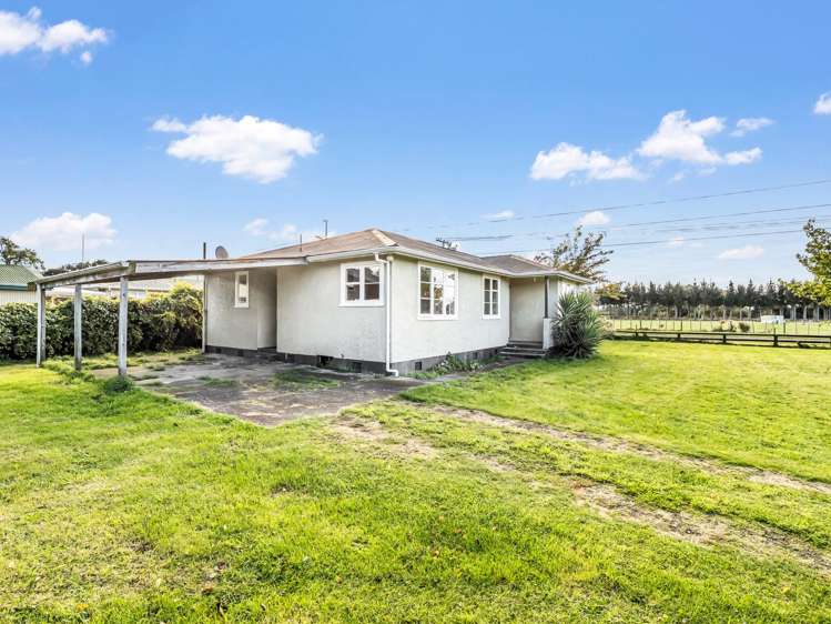 55 Wilson Street Waverley_23