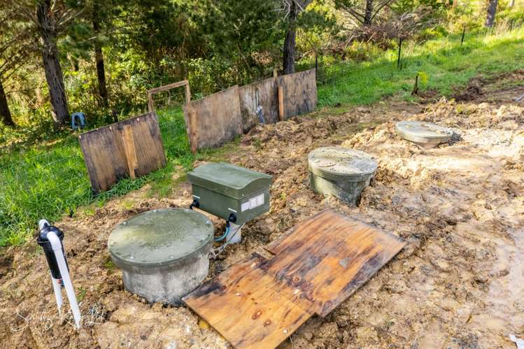 439 Franklin Road Paparoa_29