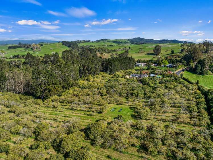 20 McLaren Falls Road Lower Kaimai_15