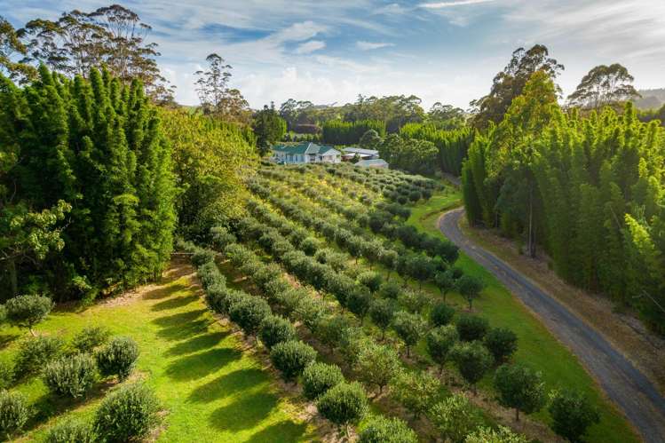 70 Pukeko Lane Kerikeri_23