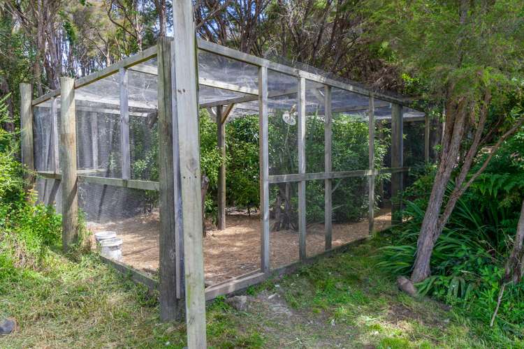 46 Onekaka Iron Works Road Kahurangi National Park_12